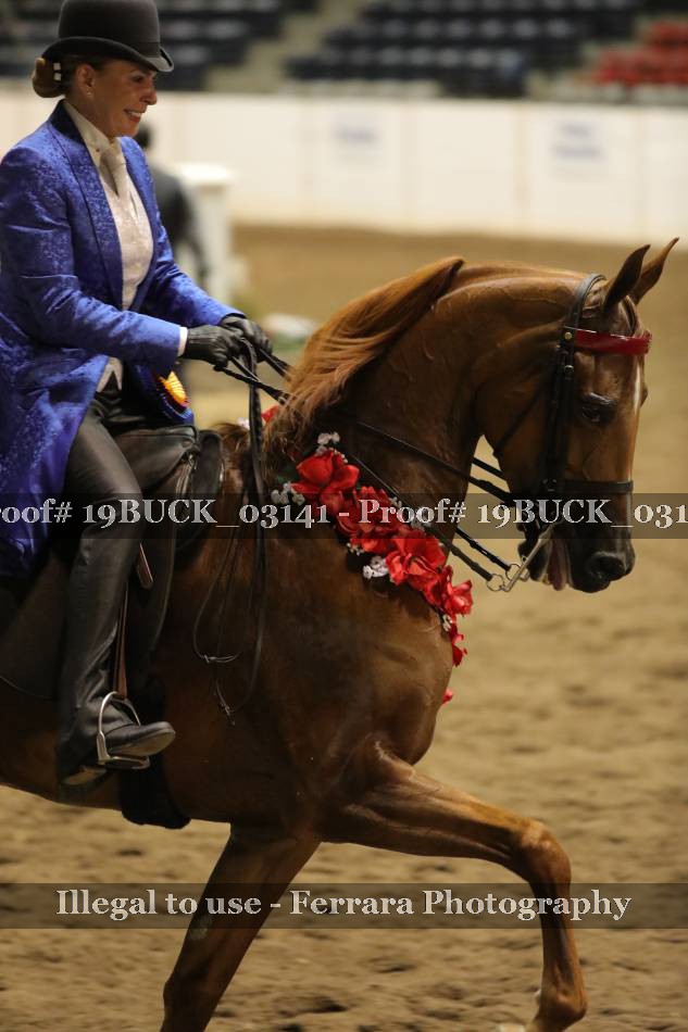 Proof 19BUCK_03141
