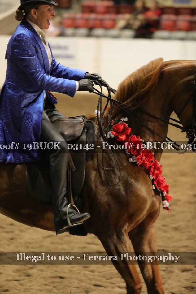 Proof 19BUCK_03142