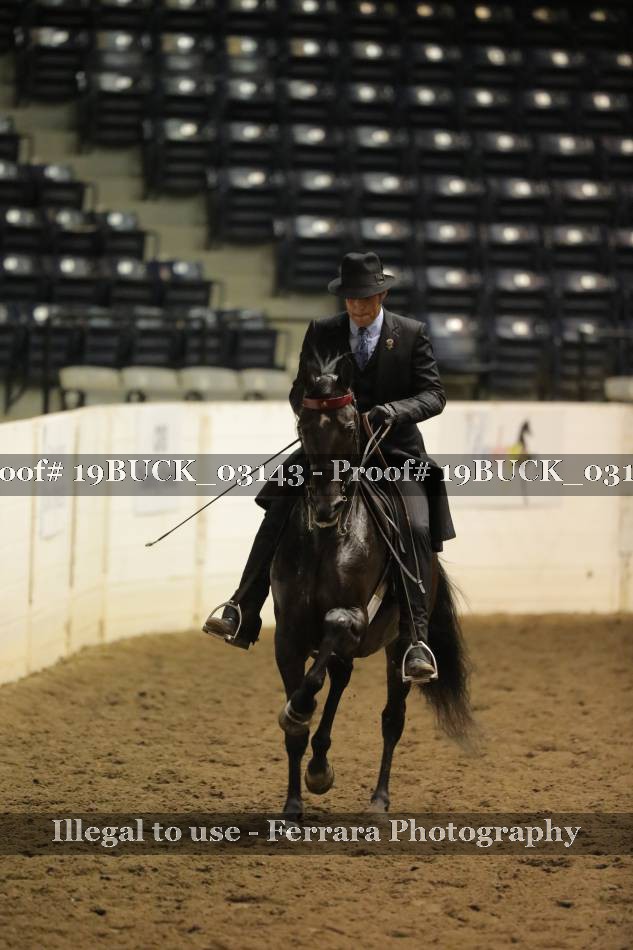 Proof 19BUCK_03143