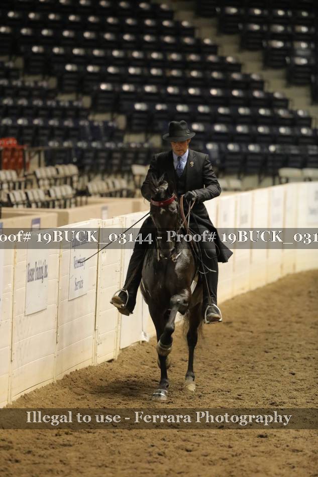 Proof 19BUCK_03144