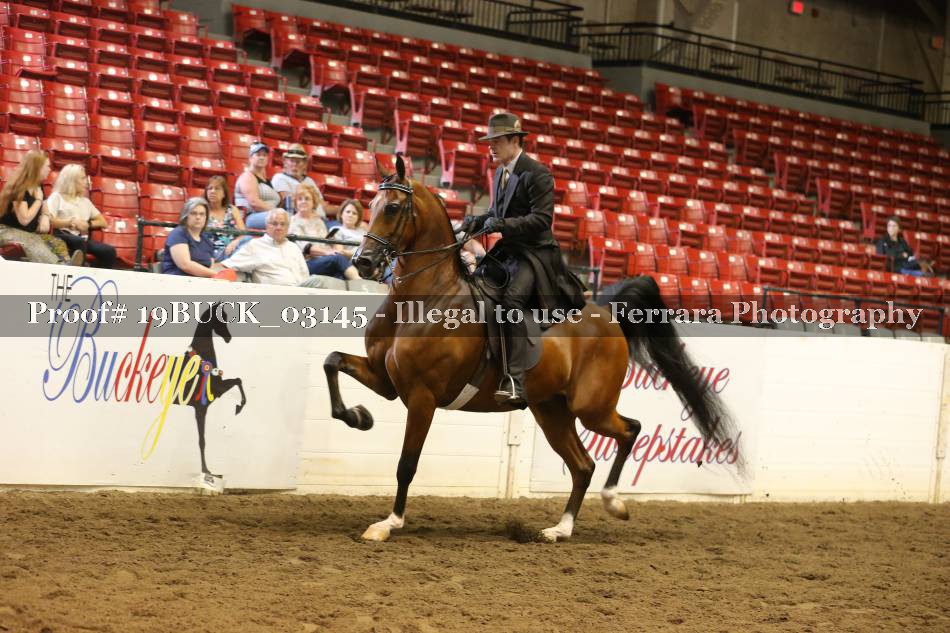 Proof 19BUCK_03145