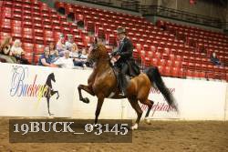 19BUCK_03145 proof