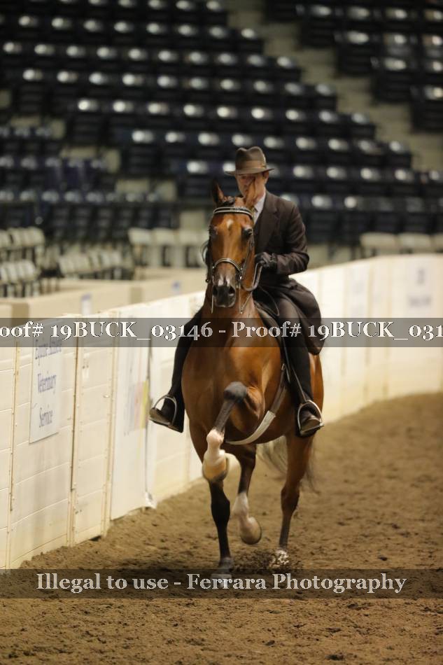 Proof 19BUCK_03146