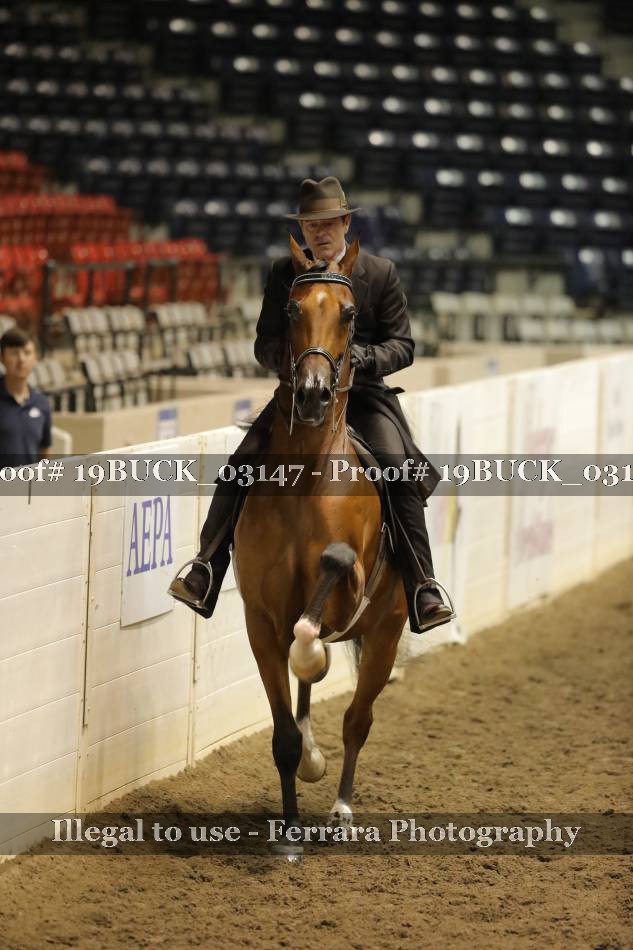 Proof 19BUCK_03147