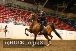 19BUCK_03148 proof
