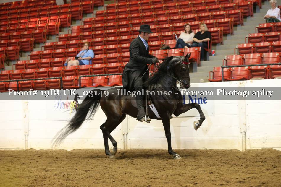 Proof 19BUCK_03149