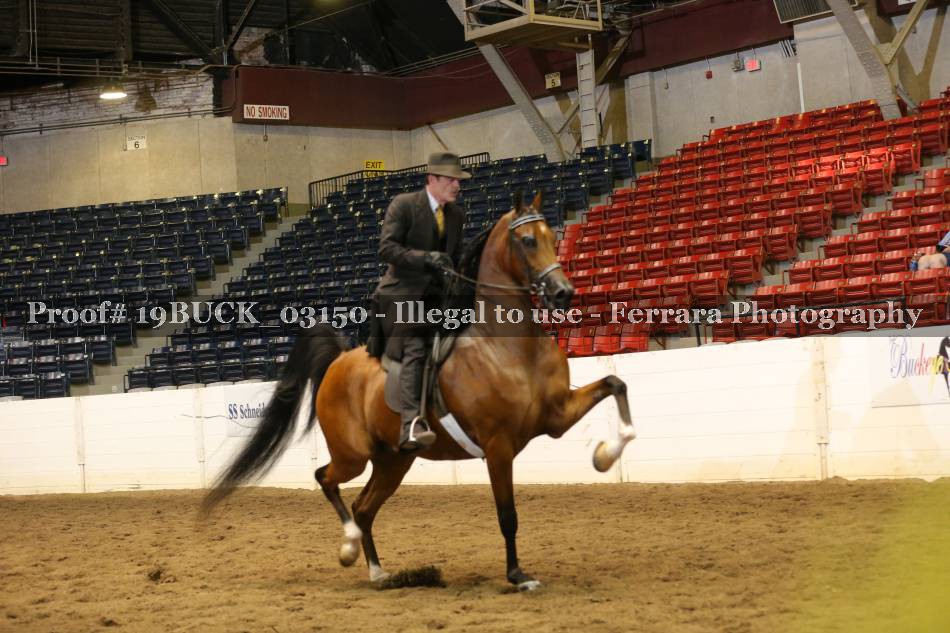 Proof 19BUCK_03150
