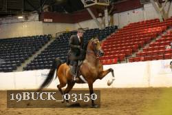 19BUCK_03150 proof
