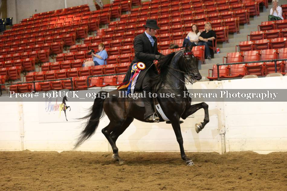 Proof 19BUCK_03151