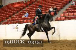 19BUCK_03151 proof