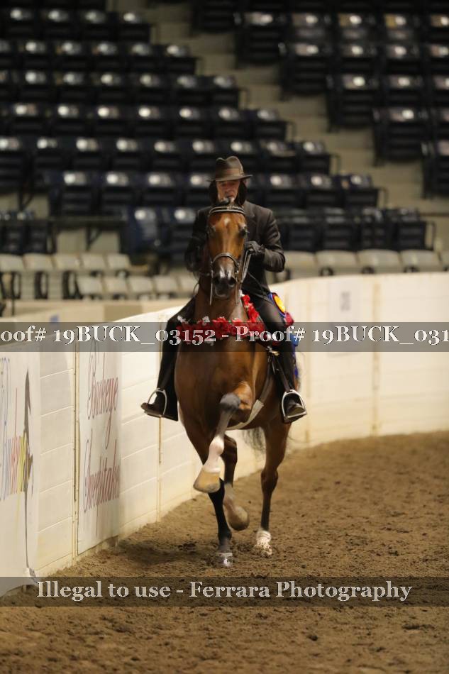 Proof 19BUCK_03152