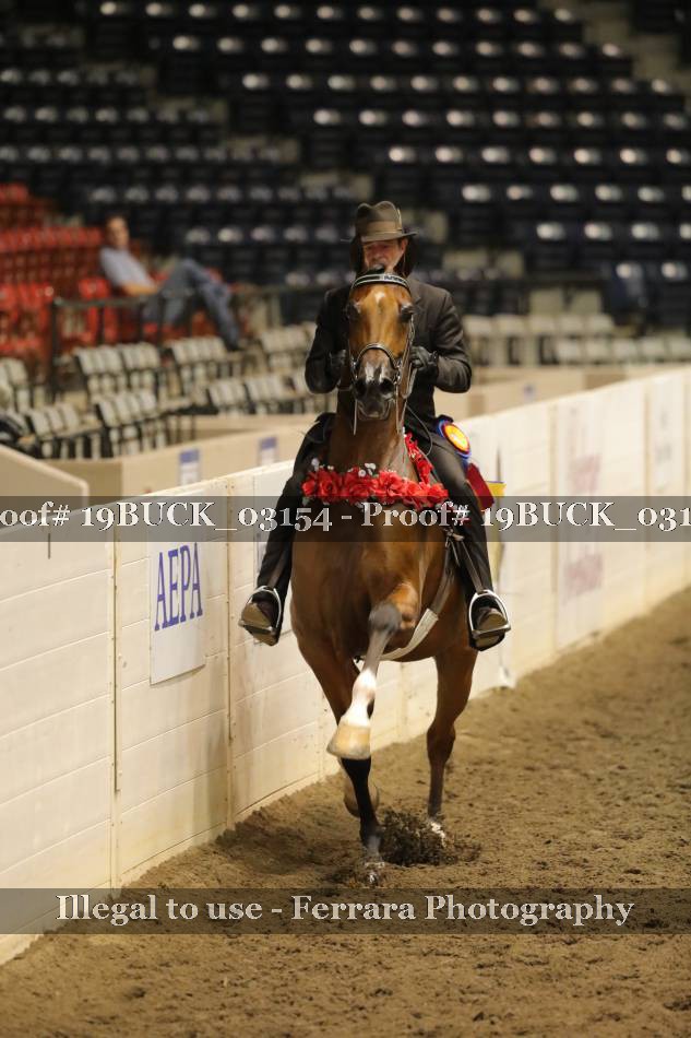 Proof 19BUCK_03154