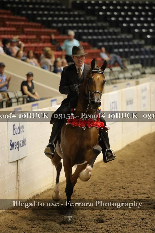 Proof 19BUCK_03155
