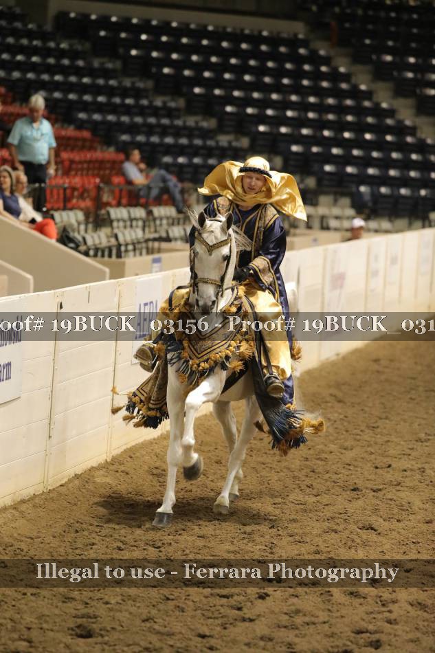 Proof 19BUCK_03156