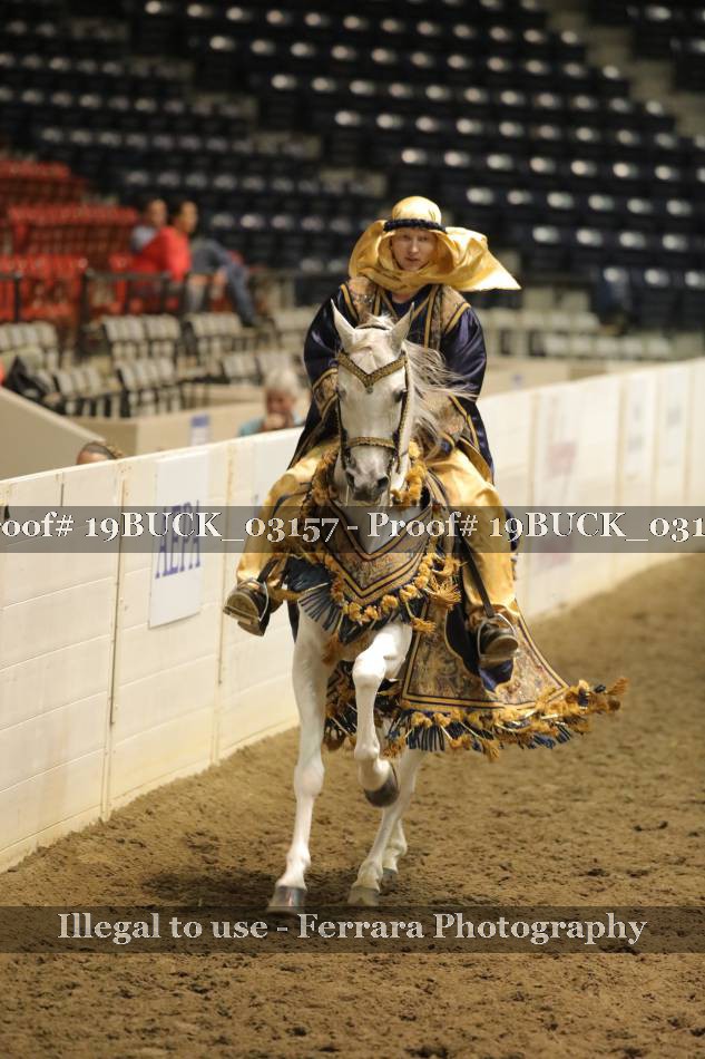 Proof 19BUCK_03157