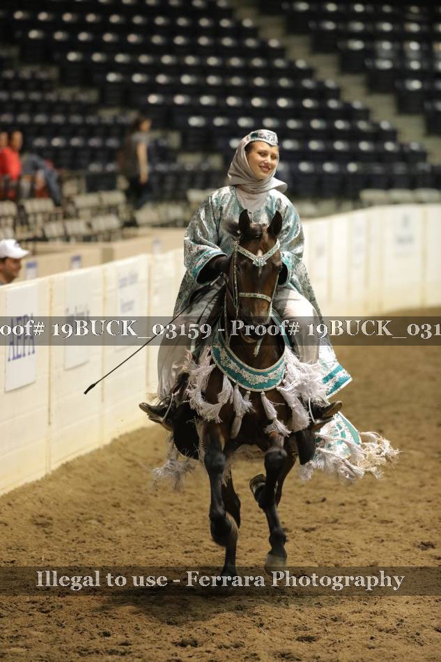 Proof 19BUCK_03159