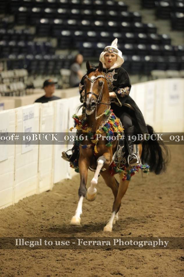 Proof 19BUCK_03161