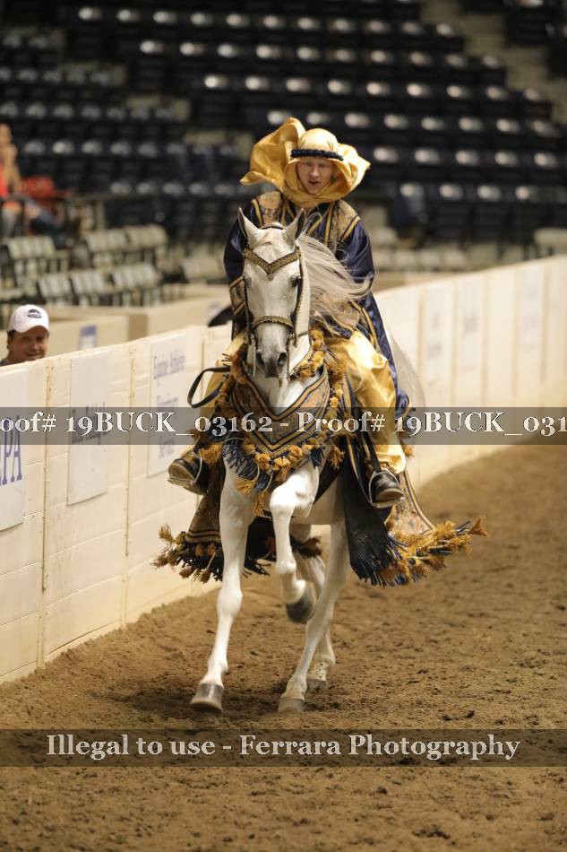 Proof 19BUCK_03162
