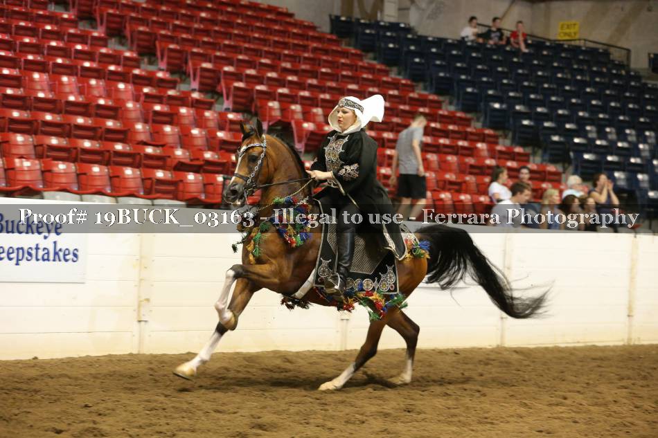 Proof 19BUCK_03163
