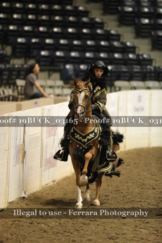 Proof 19BUCK_03165