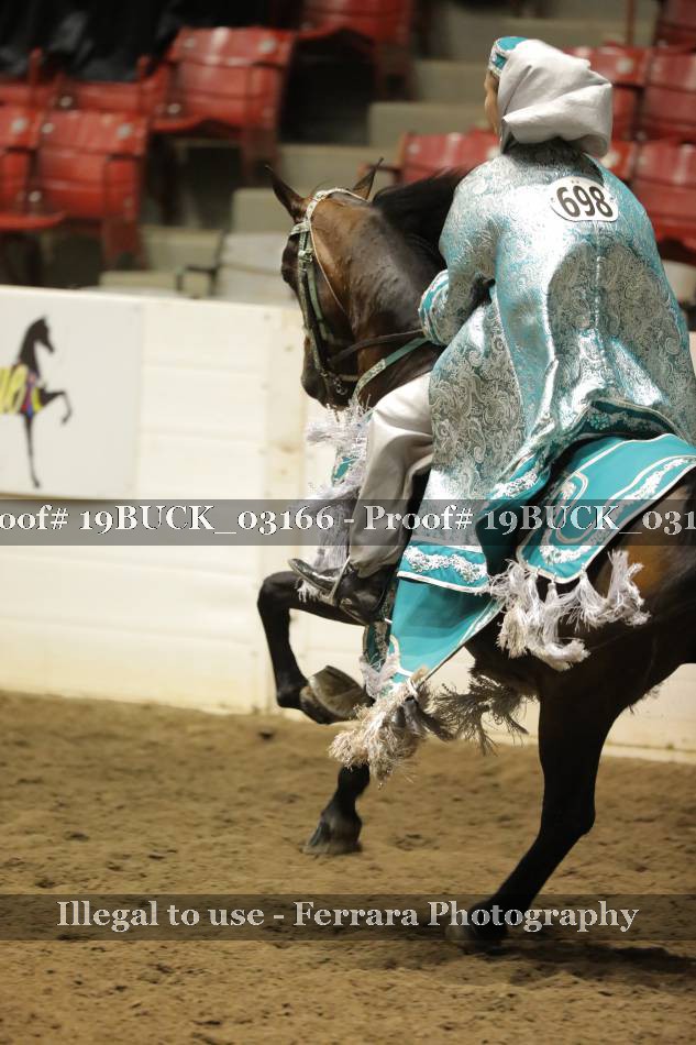 Proof 19BUCK_03166
