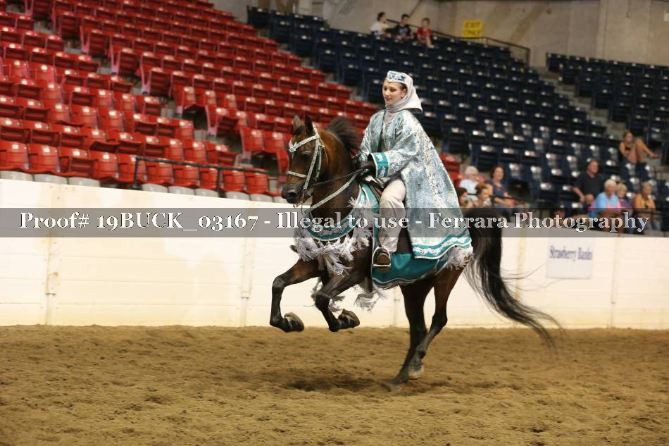 Proof 19BUCK_03167