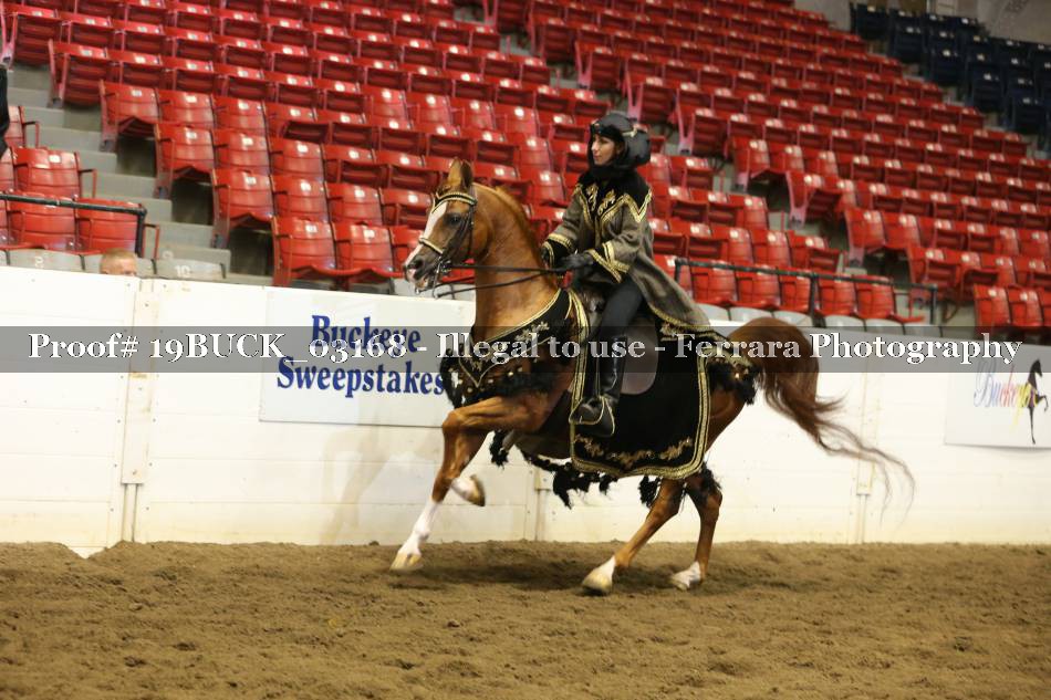 Proof 19BUCK_03168