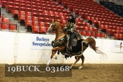 19BUCK_03168 proof