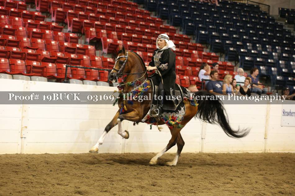 Proof 19BUCK_03169
