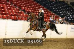 19BUCK_03169 proof