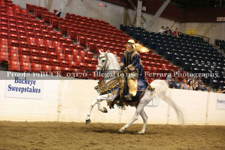 Proof 19BUCK_03170