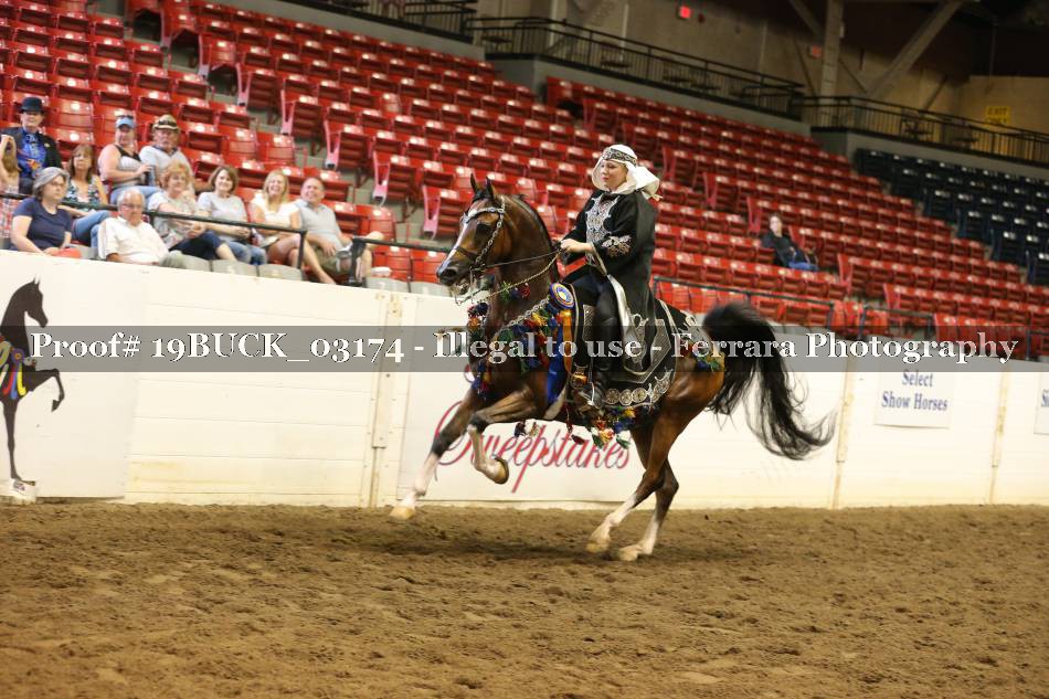 Proof 19BUCK_03174