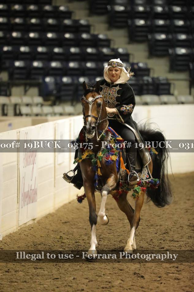 Proof 19BUCK_03175