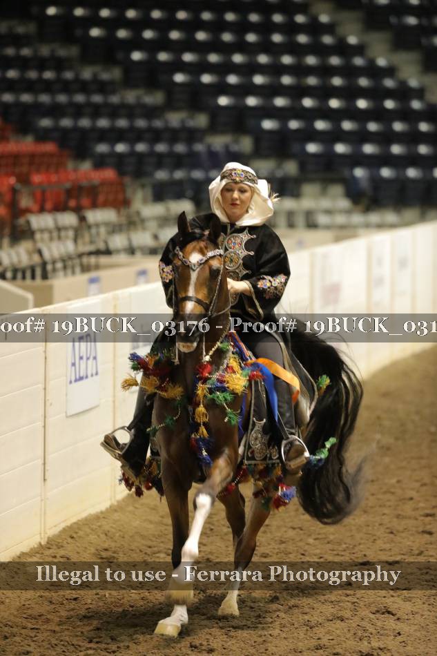 Proof 19BUCK_03176