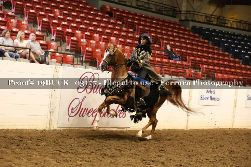 Proof 19BUCK_03177