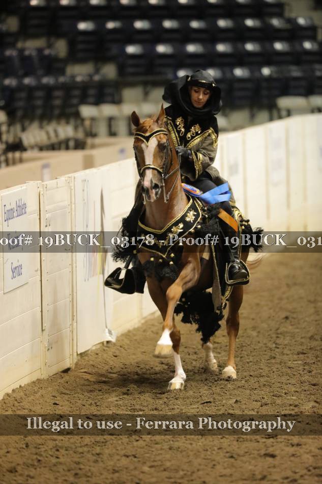 Proof 19BUCK_03178
