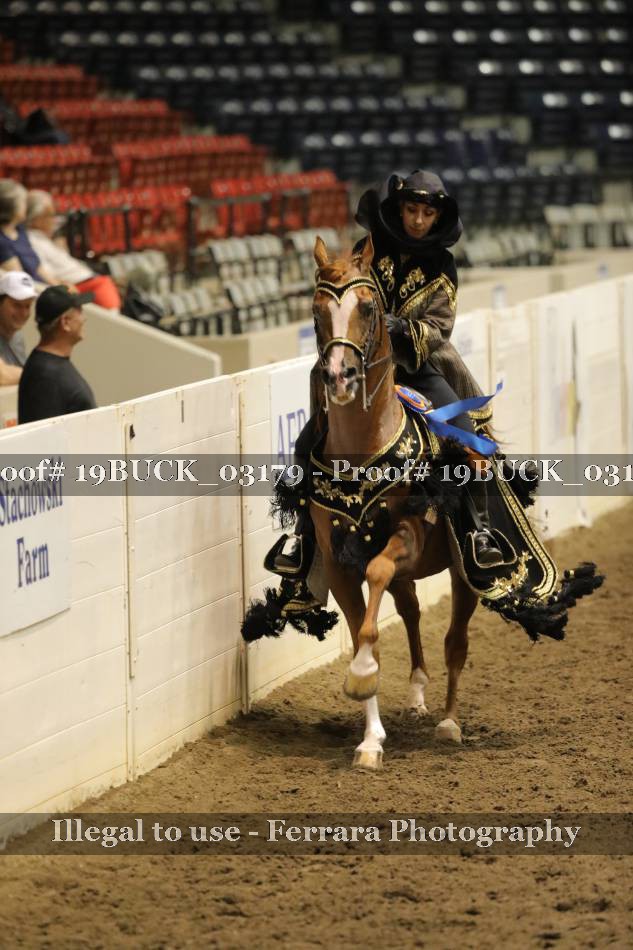Proof 19BUCK_03179