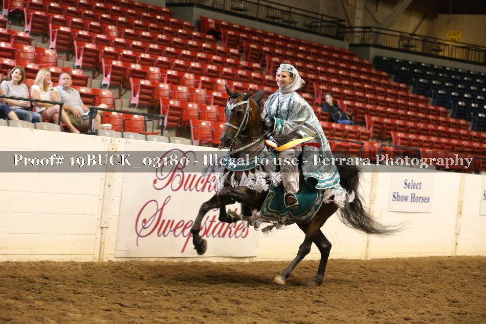 Proof 19BUCK_03180