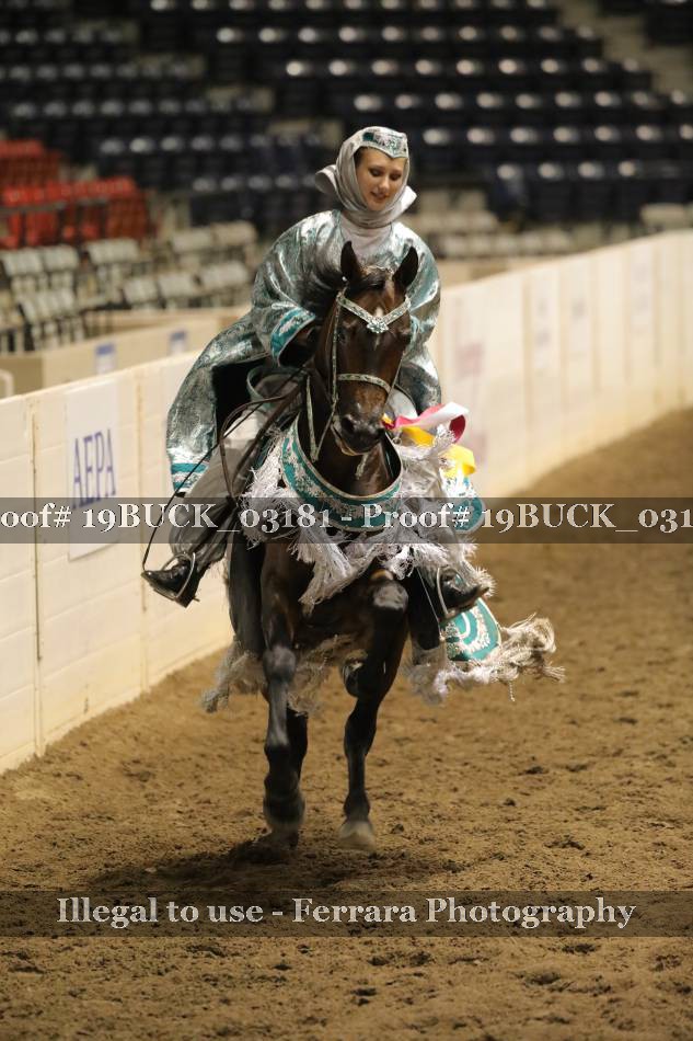 Proof 19BUCK_03181