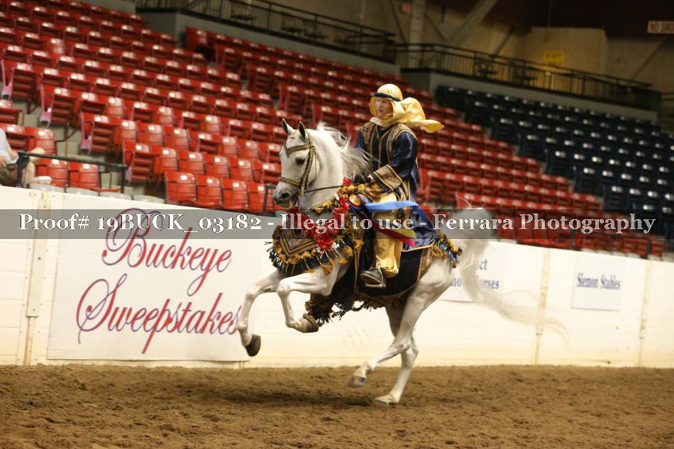 Proof 19BUCK_03182