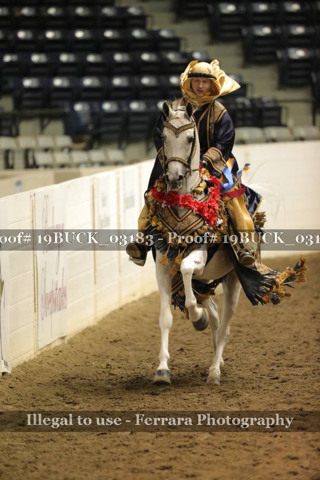 Proof 19BUCK_03183