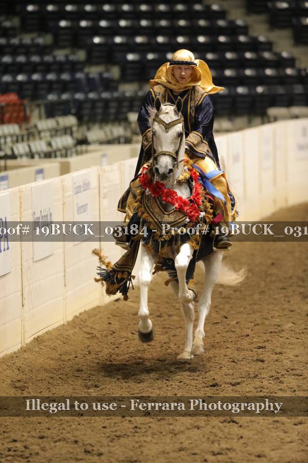 Proof 19BUCK_03184