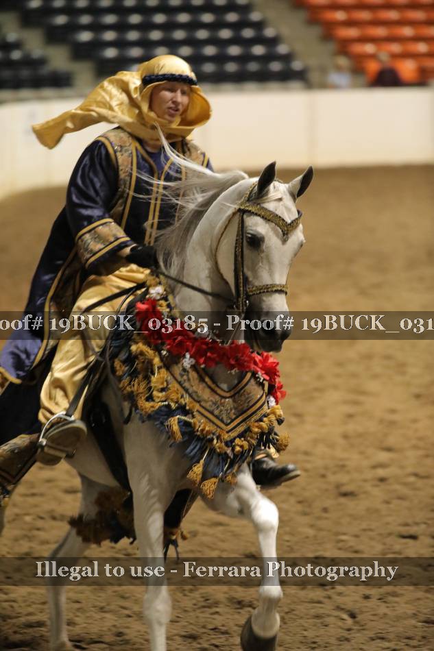 Proof 19BUCK_03185
