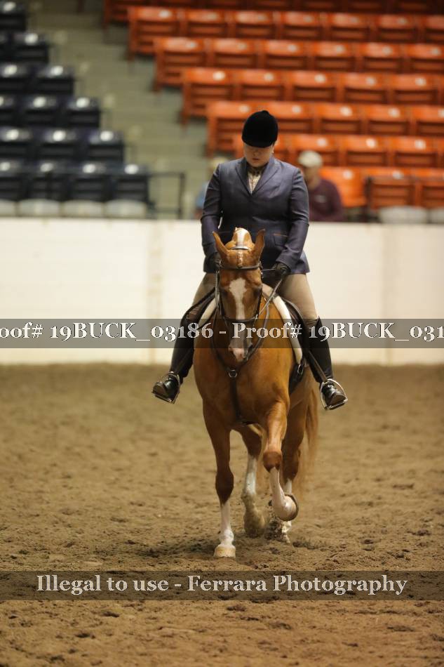 Proof 19BUCK_03186