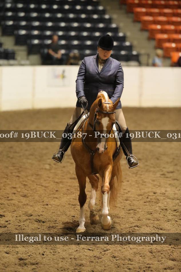 Proof 19BUCK_03187