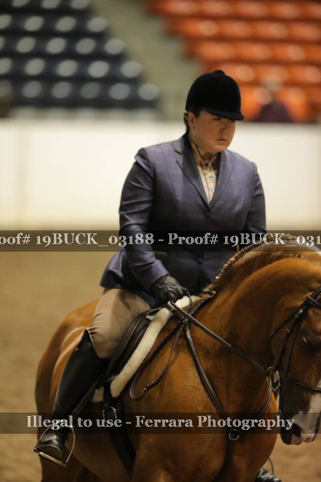 Proof 19BUCK_03188