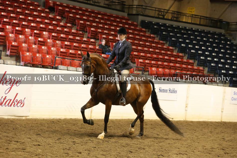 Proof 19BUCK_03189