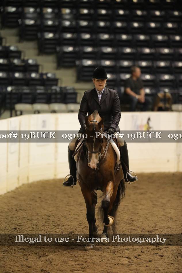Proof 19BUCK_03190