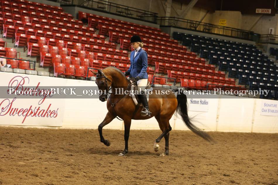 Proof 19BUCK_03191