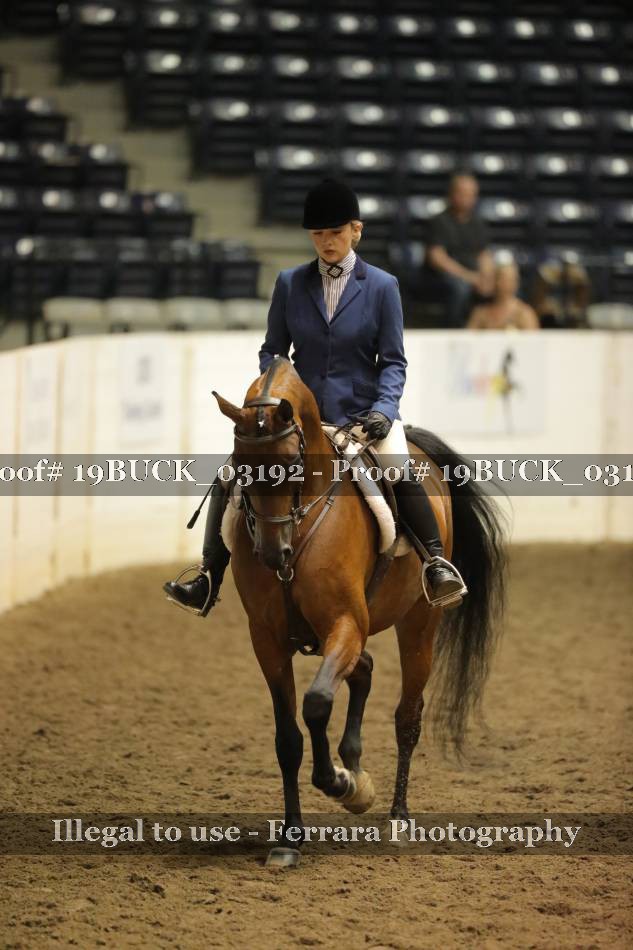 Proof 19BUCK_03192